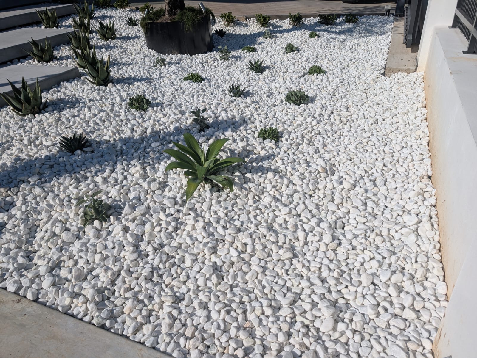 Landscaping